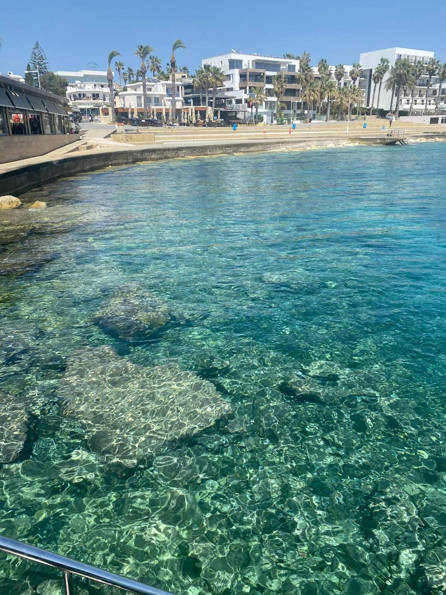Pool View Apartment Paphos